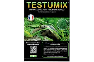 Testumix - Graines de plantes à semer - 75 g